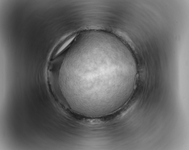 X0000091580395200709171119