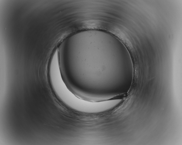 X0000091580397200709171119