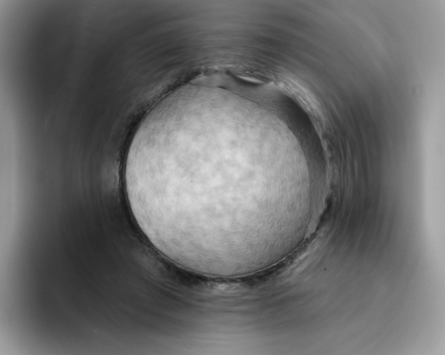 X0000091580401200709171119