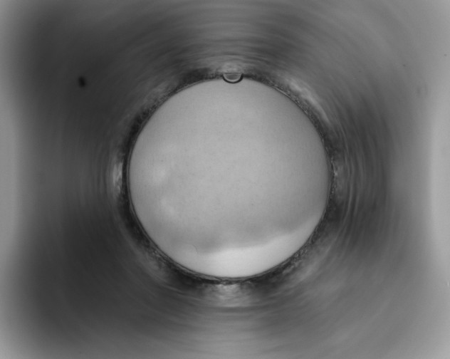 X0000091580406200709171119
