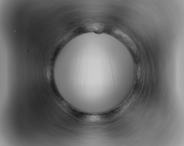 X0000091580409200709171119