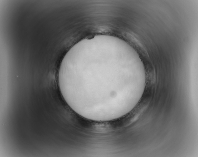 X0000091580415200709171119