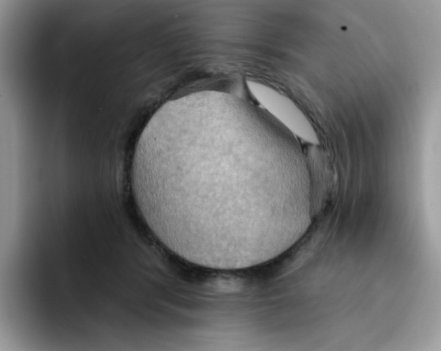 X0000091580416200709171119