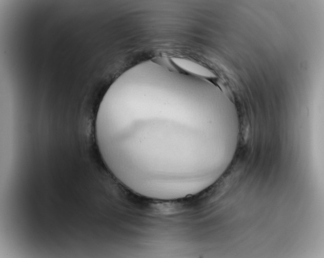 X0000091580417200709171119