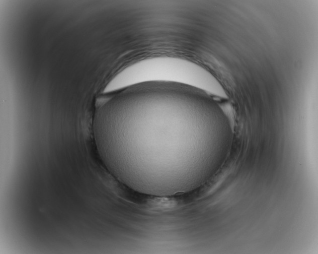 X0000091580421200709171119