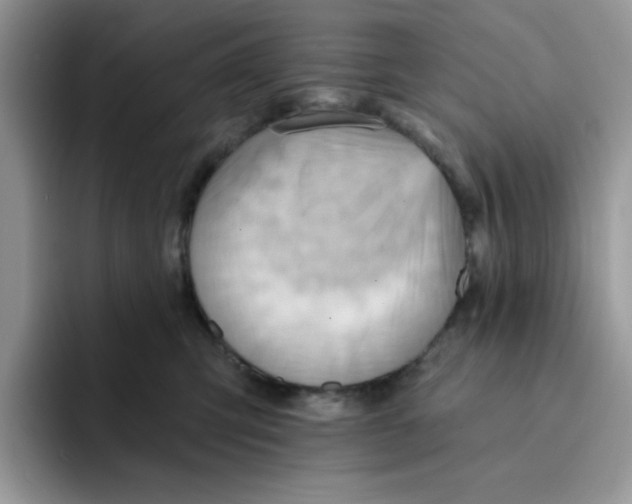 X0000091580423200709171119