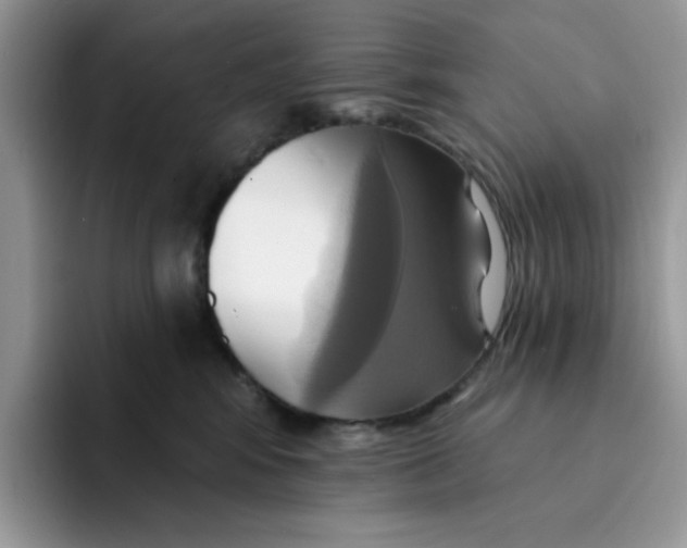 X0000091580424200709171119