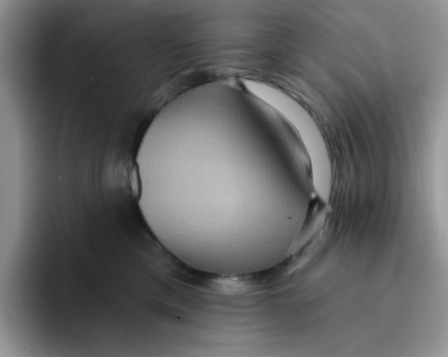 X0000091580425200709171119