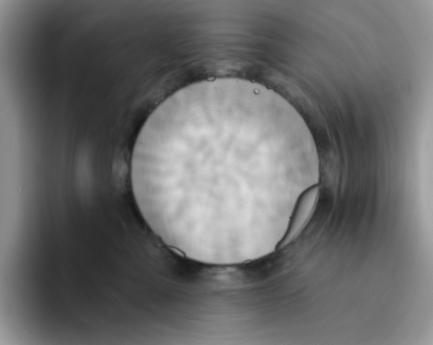 X0000091580427200709171119