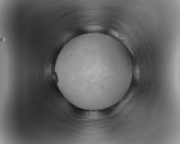 X0000091580428200709171119