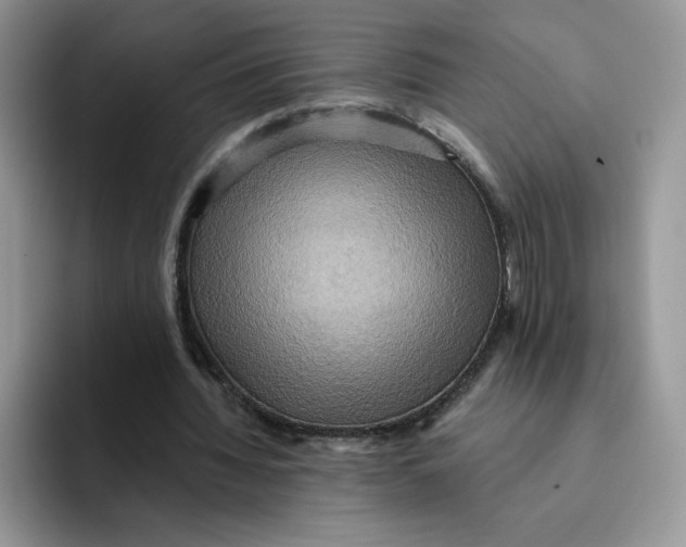 X0000091580436200709171118