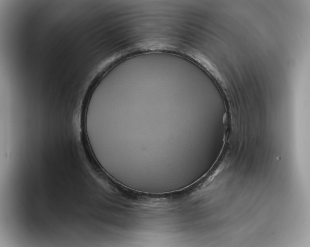 X0000091580438200709171118