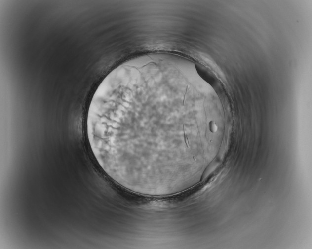 X0000091580441200709171119