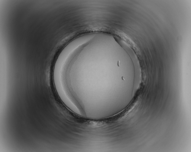 X0000091580442200709171119