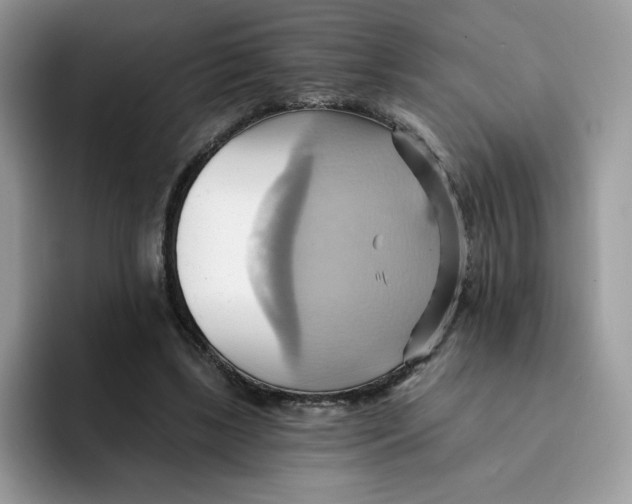 X0000091580443200709171119