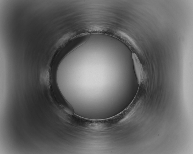 X0000091580444200709171119