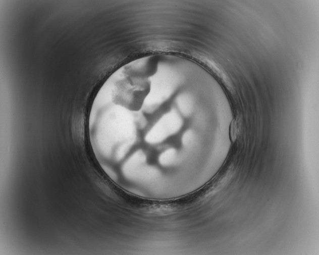 X0000091580445200709171119