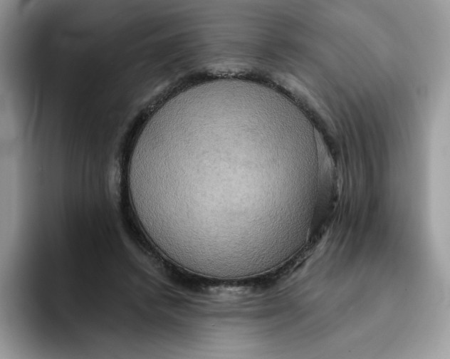 X0000091580448200709171119