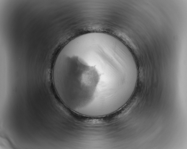 X0000091580449200709171119