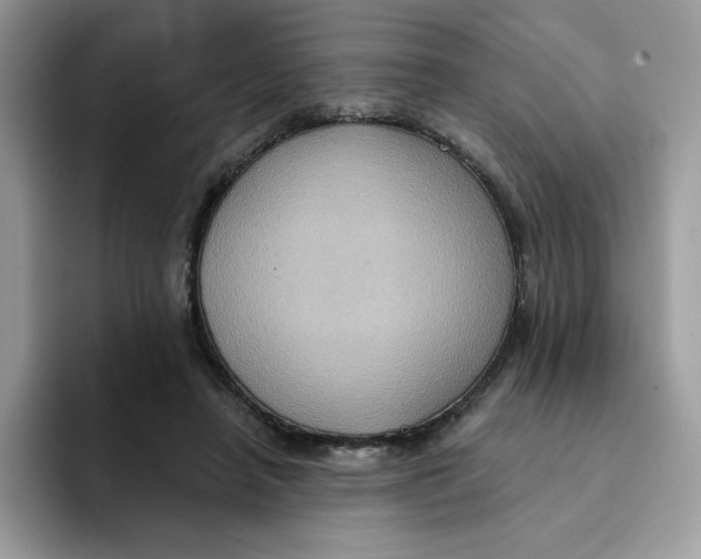 X0000091580450200709171119