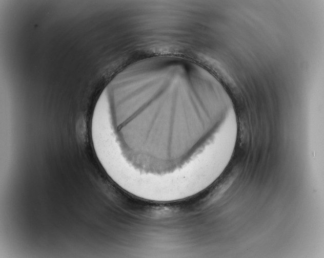 X0000091580453200709171119