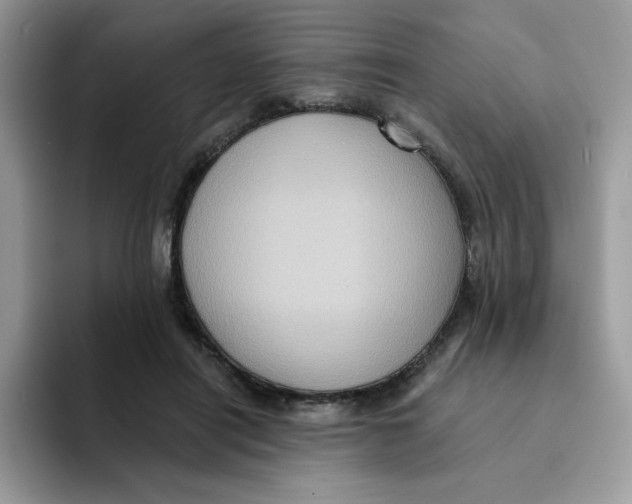X0000091580454200709171119