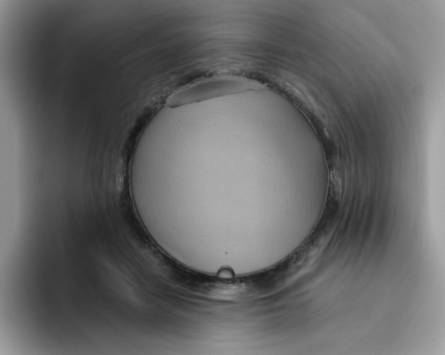 X0000091580458200709171119