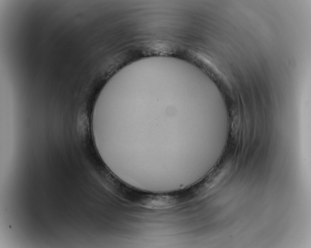 X0000091580459200709171119