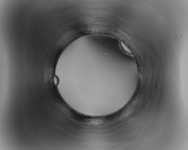 X0000091580462200709171119