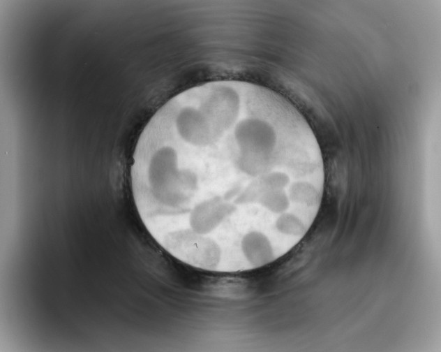 X0000091580463200709171119