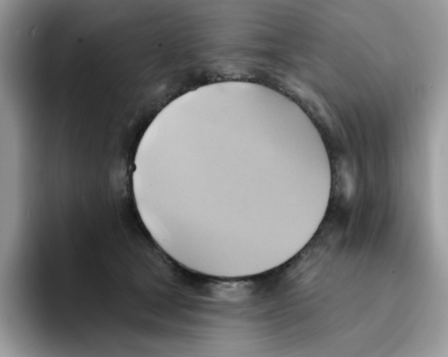 X0000091580465200709171119
