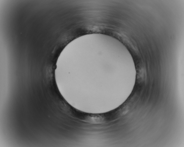 X0000091580466200709171119