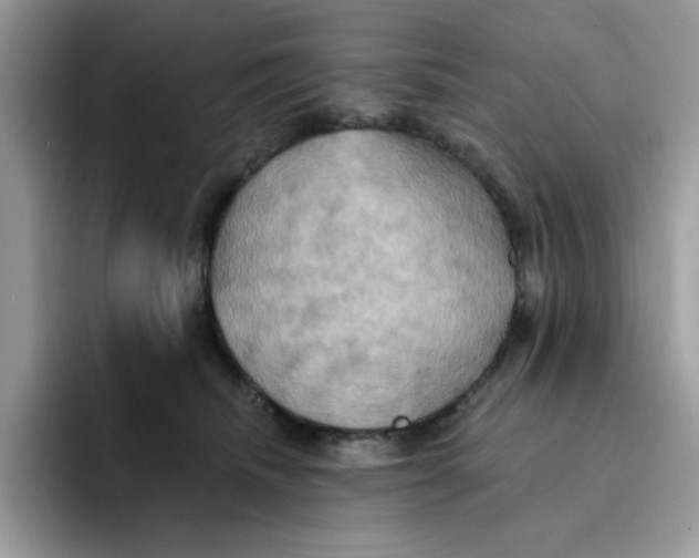 X0000091580468200709171119