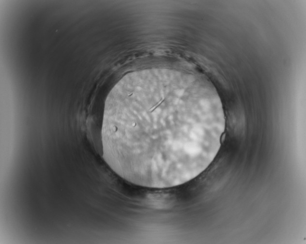 X0000091580470200709171119