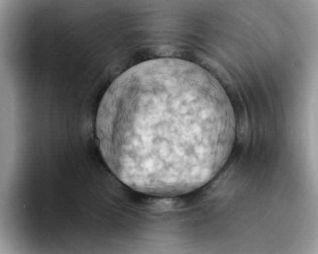 X0000091580473200709171119