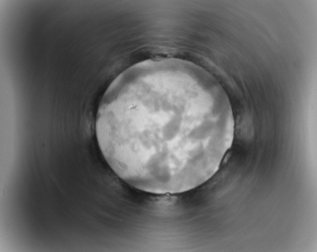 X0000091580474200709171119