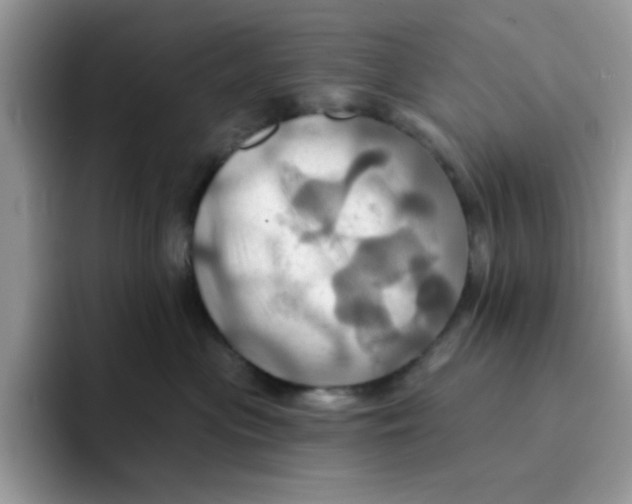 X0000091580477200709171119