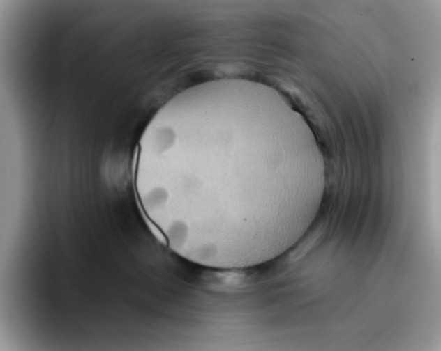 X0000091580478200709171119