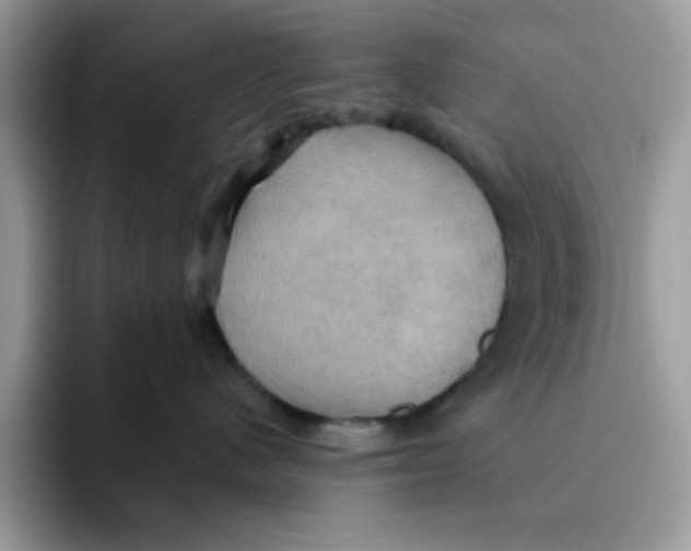 X0000091580480200709171119