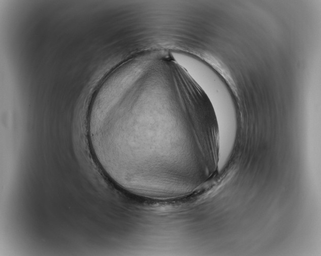 X0000091580481200709171118