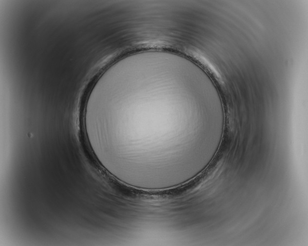X0000091580486200709171118