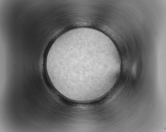 X0000091580490200709171118
