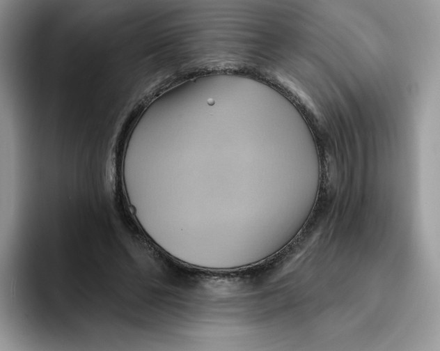 X0000091580494200709171118