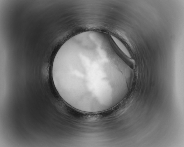 X0000091580495200709171118