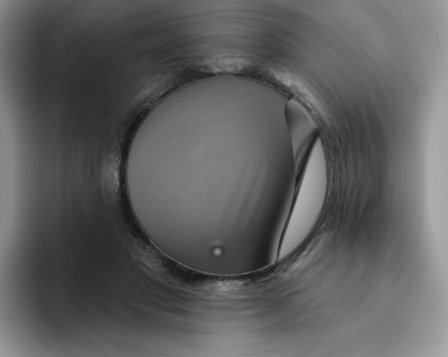 X0000091580501200709171118