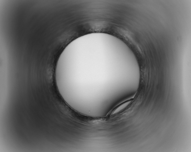 X0000091580505200709171118