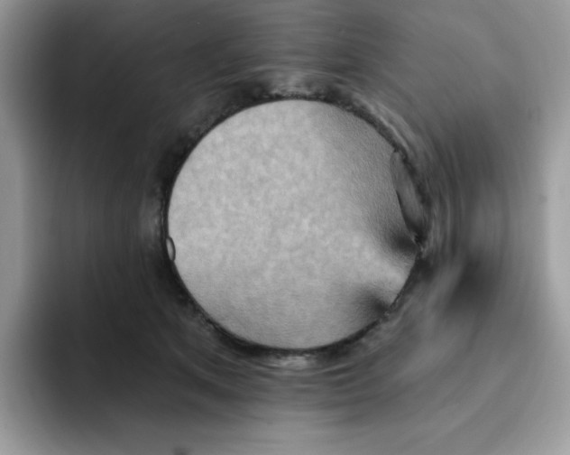 X0000091580513200709171118