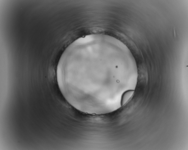 X0000091580523200709171118