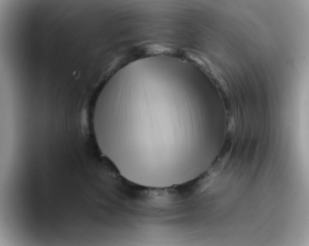 X0000091580524200709171118