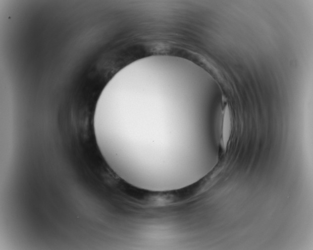 X0000091580525200709171118